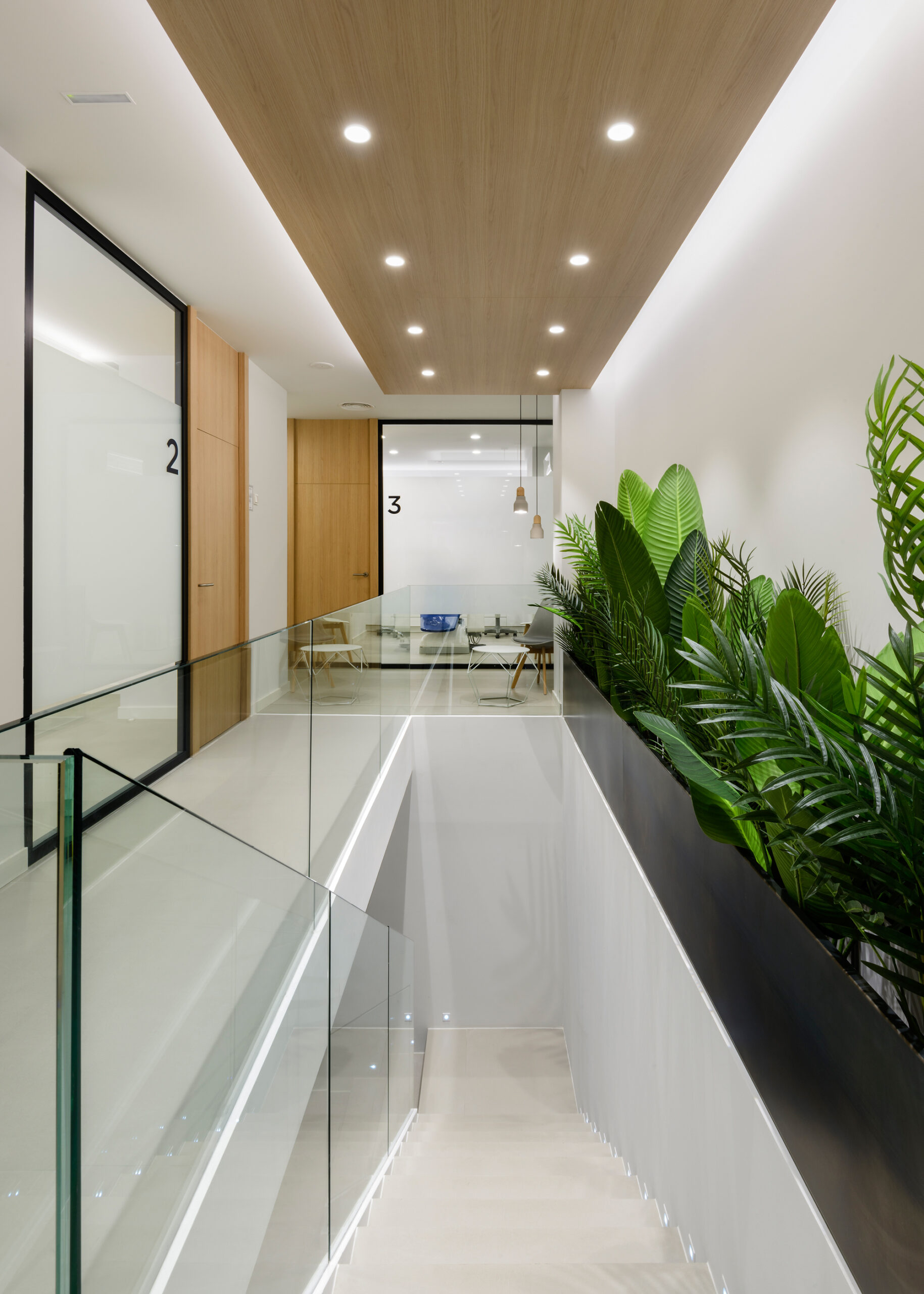 Clinica-Comet79401BajaHD-scaled